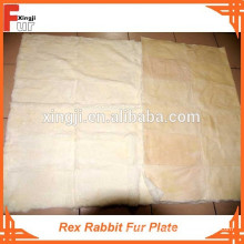 First Class Grade A Rex Precio razonable Rex rabbit fur plate